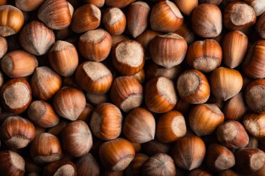 Fındıklı fındık yığını yaklaşıyor. Yemek fotoğrafçılığı