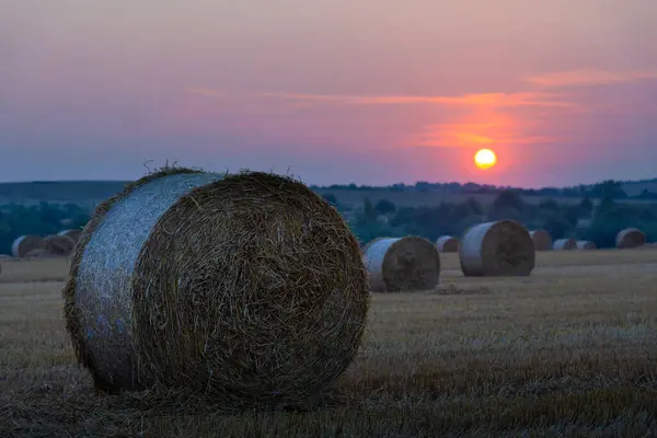 Solnedgång Över Ett Jordbrukslandskap Med Runda Buntar Torrt — Stockfoto