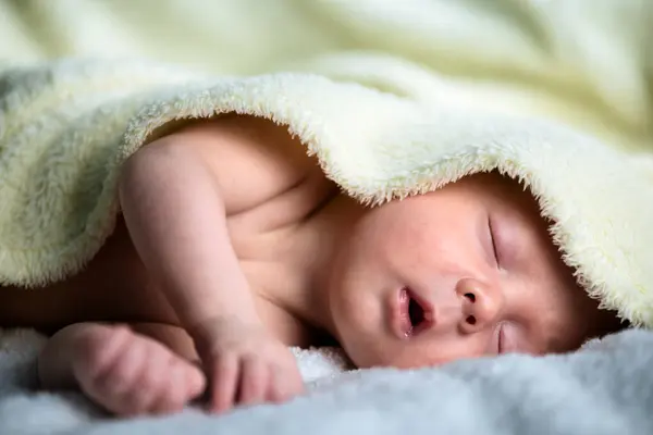 Quiet Beauty Sleeping Newborn Baby Boy Swaddled Tender Embrace Soft — Stock Photo, Image