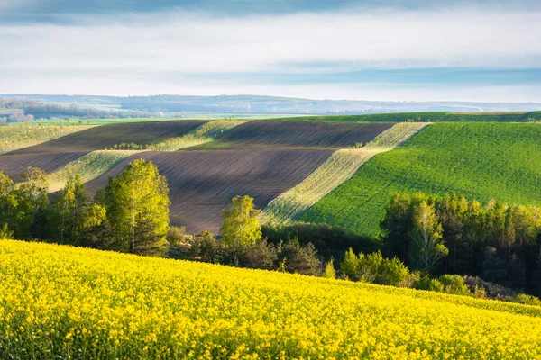 Landwirtschaftliche Flächen Südmähren Tschechische Republik Ländliche Frühlingslandschaft Mit Farbig Gestreiften — Stockfoto