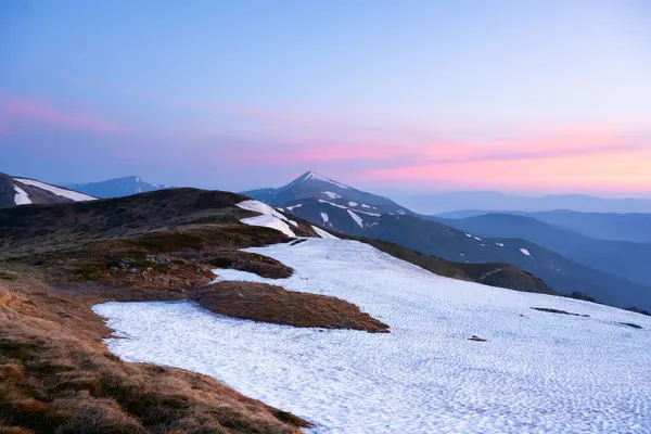 Rano Wiosennych Górach Śnieżnymi Wzgórzami Różowym Wschodem Słońca Ukraińscy Karpaty Zdjęcie Stockowe