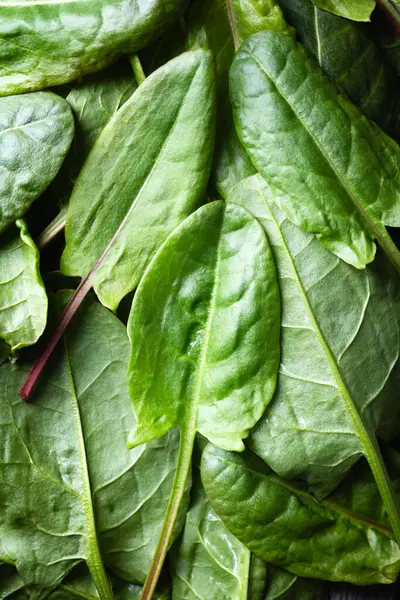 Fresh Organic Sorrel Leaves Close Nature Texture Green Sorrel Food — Stock Photo, Image
