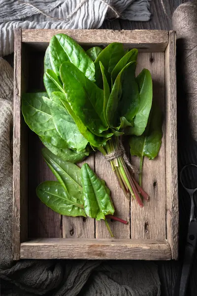 新鲜的有机山楂叶子在家里厨房的木箱里 食品摄影 图库照片