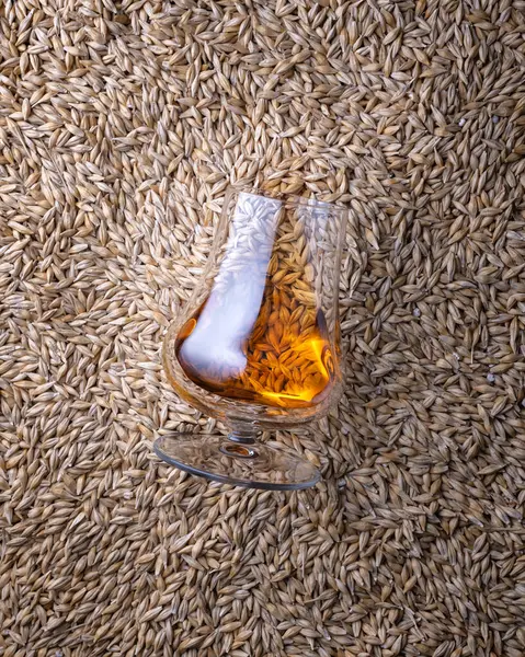 Ein Glas Whisky Auf Gerstenkörnern Als Hintergrund Draufsicht Stockbild