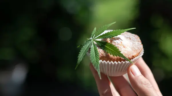 Cupcake Com Folha Cannabis Mão Homem Bolo Sobremesa Com Marijuana Imagem De Stock