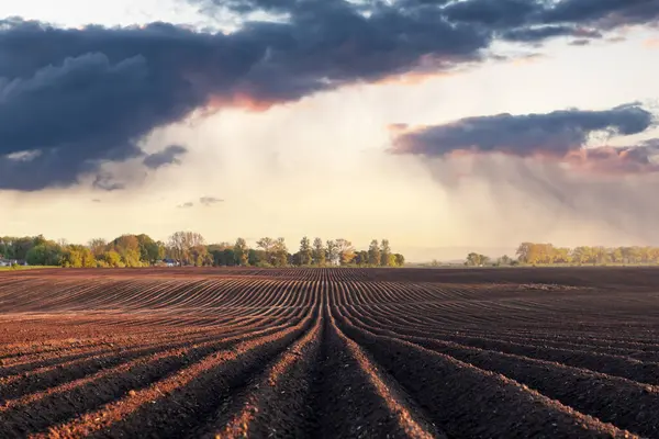 Landwirtschaftliches Feld Mit Ebenen Reihen Und Bewässerten Regenwolken Hintergrund Frühjahrs lizenzfreie Stockbilder