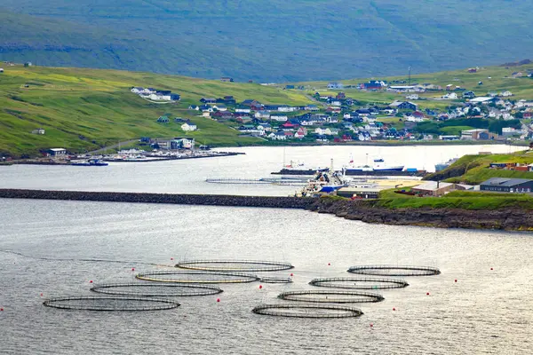 Danimarka 'nın Faroe Adaları, Vagar Adası' ndaki Sandavagur köyü ve balık çiftliği. Peyzaj fotoğrafçılığı