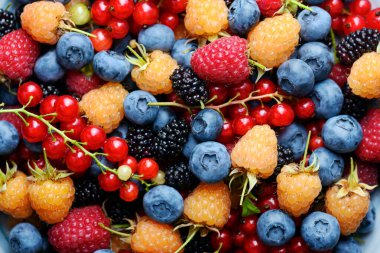 Çok renkli böğürtlenler: yaban mersini, ahududu, kırmızı frenk üzümü, kuşüzümü ve dut. Yemek fotoğrafçılığı