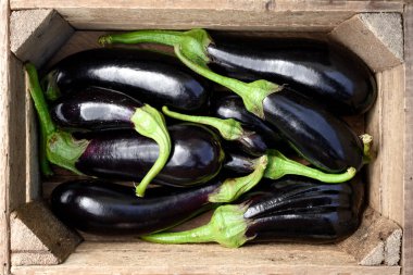 Tahta kutuda taze organik patlıcan var. Yemek fotoğrafçılığı
