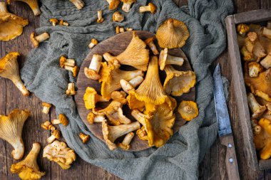 Chanterelle mantarları ahşap bir tahta üzerinde kırsal masada bıçakla kesiliyor. Yemek fotoğrafçılığı