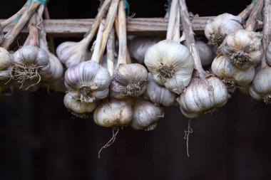 Açık havada bir avuç sarımsak kuruyor. Yemek fotoğrafçılığı