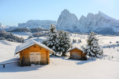 Kışın Alpe di Siusi otlağındaki ahşap kulübesi olan güzel bir manzara. Seiser Alm, Dolomitler, İtalya. Karlı tepeler turuncu tarla kuşu ve Sassolungo ve Langkofel dağları grubu