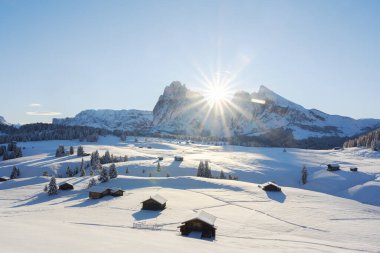 First snow at Alpe di Siusi meadow on autumn time. Snowy hills with orange larch and small wooden log cabin. Sassolungo and Langkofel mountains group, Seiser Alm, Dolomites, Italy clipart