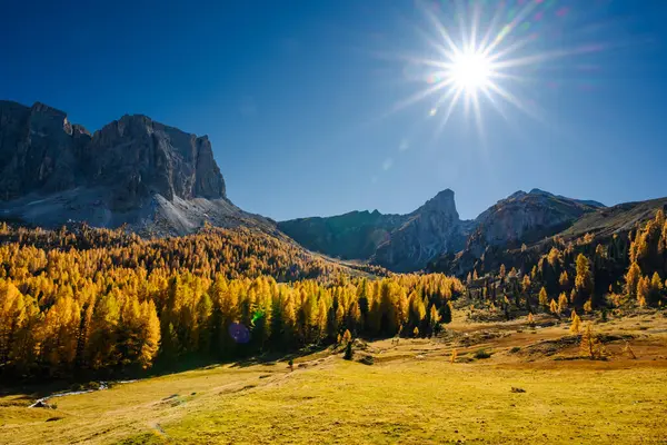 stock image Incredible view at autumn Italian Dolomite Alps. Orange larches forest and blue mountains peaks on background. Dolomites, Italy. Landscape photography