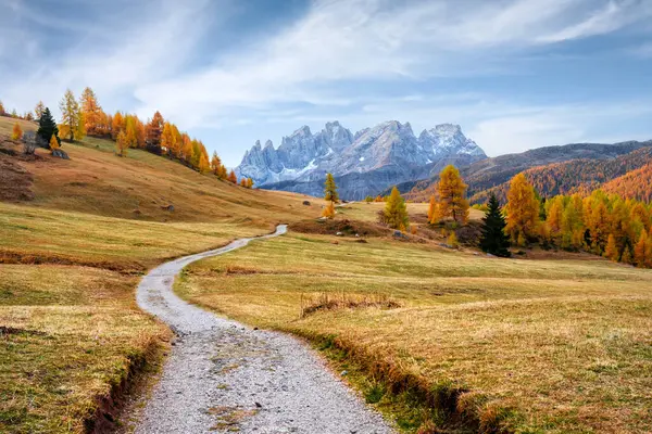 stock image Dirt road and orange larches forest in Valfreda valley in Italian Dolomite Alps. Snowy mountains peaks on background. Dolomites, Italy. Landscape photography