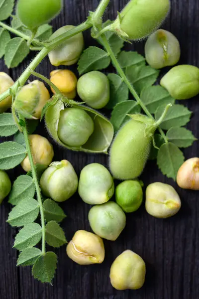 stock image Fresh green Chickpea Cicer arietinum with leaves on a wooden table close up. Food photography