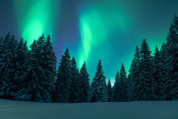 stock image Aurora borealis. Northern lights in winter forest. Sky with polar lights and stars. Night winter landscape with aurora and pine tree forest. Travel concept