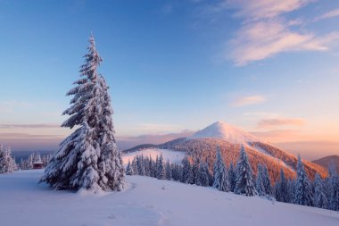 Gün batımında karlı dağlar. Gün batımında parlayan karlı ağaçlar ve karlı tepeler. Peyzaj fotoğrafçılığı