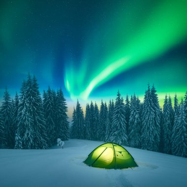 Karlı köknar ağaçları ve yeşil çadır Aurora Borealis ile inanılmaz yıldızlı gökyüzünün arka planına karşı. Kuzey ışıkları kış ormanında. Kutup ışıkları ve yıldızlarıyla gökyüzü