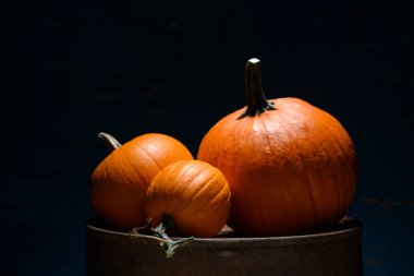 Eski paslı bir fıçının üzerinde üç turuncu balkabağı. Şükran Günü ya da Cadılar Bayramı