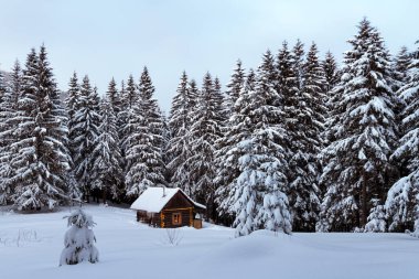 Karlı ormanda parlayan ahşap evle dolu peri Noel manzarası. Kış dağlarında rahat bir ev