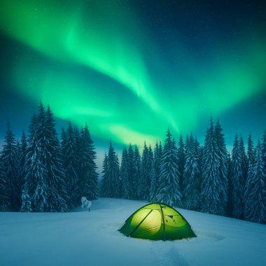 Yeşil çadırı olan perili kış ormanı, Aurora Borealis 'in yeşil dalgalarıyla inanılmaz yıldızlı gökyüzünün arka planına karşı içeriden aydınlatılıyor. Kuzey ışıkları. Kutup ışıkları ve yıldızlarıyla gökyüzü