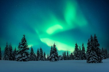 Karlı köknar ağaçları ve yıldızlı gökyüzünde inanılmaz kuzey ışıkları olan peri kışı dağları. Kutup ışıklarıyla Noel gecesi manzarası. Aurora Borealis