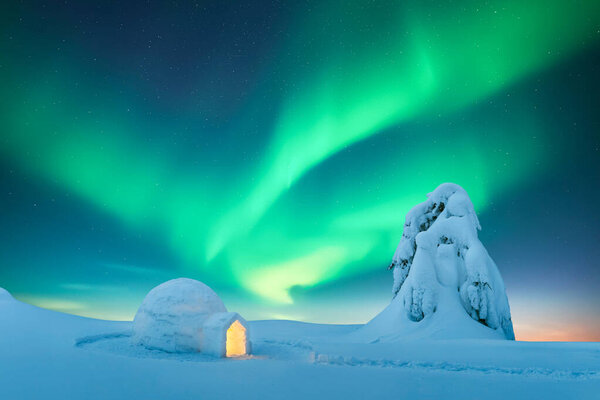 На фоне невероятного звездного неба с зелеными волнами Aurora borealis со снежным иглу, освещаемым изнутри почти замерзшей елкой. Полярные огни. Северное сияние в зимнем поле.