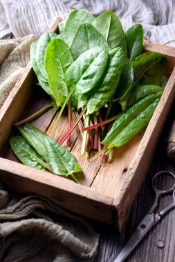 Tahta kutuda taze organik defne yaprakları ve makaslar. Yemek fotoğrafçılığı