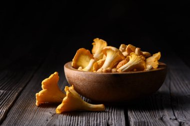 Taze Chanterelle mantarları, ahşap bir kâse içinde, arka planda, ahşap bir masa üzerinde. Yemek fotoğrafçılığı