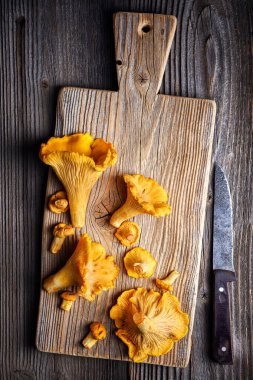 Kanterelle mantarları ahşap bir tahta üzerinde, ahşap bir masa üzerinde, yakın plan. Yemek fotoğrafçılığı