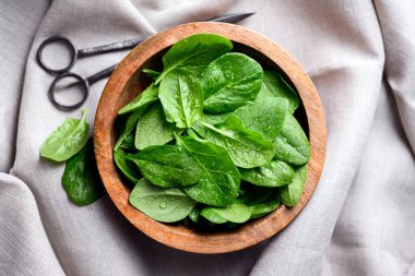 Su damlalarıyla kaplı ıspanak yapraklarıyla dolu ahşap kase. Çiğ organik yeşilliklerin yakın plan çekimi.