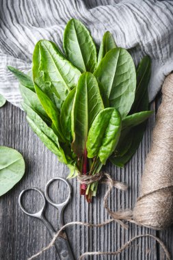 Tahta masanın üzerinde eski bir makasla taze organik defne yaprakları. Yemek fotoğrafçılığı