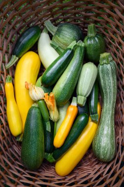 Farklı türde kabak ve sepetin içinde kabak yakın. Yemek fotoğrafçılığı