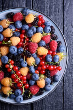 Mavi bir tabakta karışık yaz meyveleri: yaban mersini, ahududu, kırmızı frenk üzümü, kuşüzümü ve dut. Yemek fotoğrafçılığı