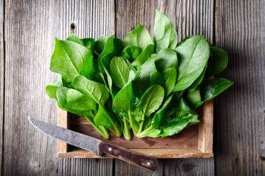 Tahta kutuda su damlacıkları ve eski bir kır bıçağıyla taze yeşil ıspanak yaprakları. Yemek fotoğrafçılığı