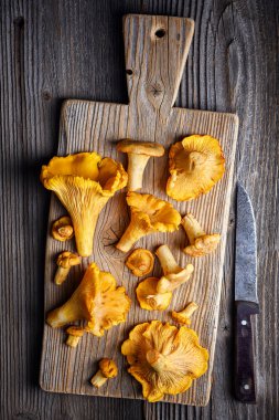 Chanterelle mantarları, ahşap bir tahta kesme tahtasının üzerinde, yakın planda. Yemek fotoğrafçılığı