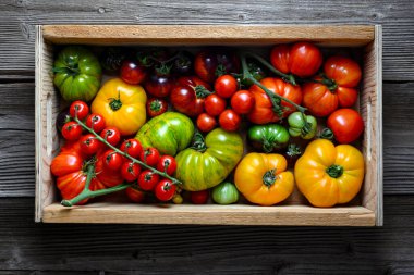 Farklı boyutlarda, renklerde ve çeşitlerde olgun domatesler ahşap bir kutunun içinde. Çok renkli domateslerin karışımı.