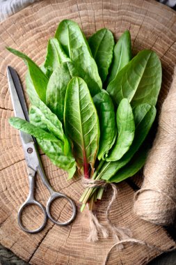 Tahta kesme tahtasına makasla dikilmiş taze biçilmiş at yaprakları. Yakın çekim yiyecek fotoğrafçılığı