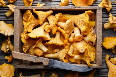 Ahşap bir kutuda, ahşap bir masanın üzerinde bıçakla mantar mantarlarının üst görüntüsü. Yemek fotoğrafçılığı