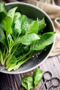 Metal bir kevgirde taze ıspanak yapraklarını yeni yıkadım. Çiğ organik bebek ıspanağı yığını.