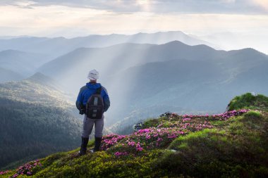 Dağın kenarında dikilen bir fotoğrafçı çiçek açan rhododendronlarla kaplı. Gün batımı sisli gökyüzü ve arka planda yüksek dağ aralıkları
