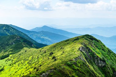 Yaz mevsiminde yemyeşil çimenler dağ çayırlarını kaplamıştı. Arka planda sisli bir aralıkta parlayan yumuşak gündoğumu ışığı. Bahar dağları. Peyzaj fotoğrafçılığı