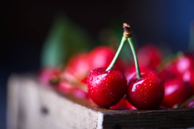 Su damlacıklı kırmızı kirazlar. Yemek fotoğrafçılığı