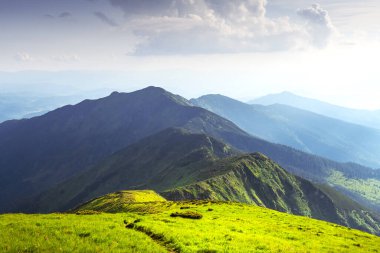 Dağlar boyunca uzanan yuvarlanan yeşil çayırlar sislerle kaplı tepeleriyle sabah güneşiyle aydınlanıyor. Peyzaj fotoğrafçılığı