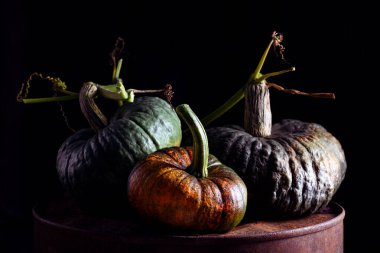 Eski paslı fıçı. Arka planda üç balkabağı var. Yakın plan. Yemek fotoğrafçılığı