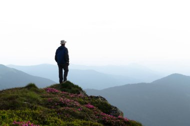 Uçsuz bucaksız dağları seyreden rhododendron kaplı zirvede yalnız bir yolcuyla görkemli dağ manzarası. Peyzaj fotoğrafçılığı