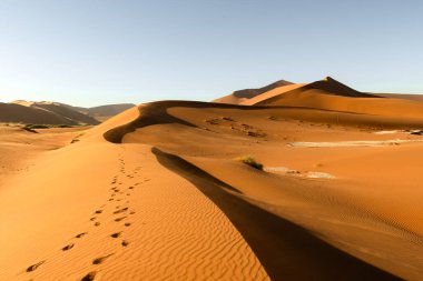 Namib-Naukluft Ulusal Parkı Namibya, Afrika 'da Namib Çölü' nde turuncu kum tepeleri ve açık gökyüzü. Peyzaj fotoğrafçılığı