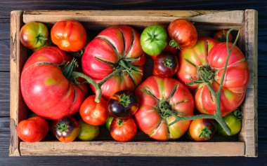 Olgun domateslerle dolu tahta kutu kendi bahçesinden toplandı. Yemek fotoğrafçılığı