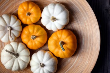 Tahta tabakta küçük beyaz ve turuncu balkabakları Bebek Boo 'nun manzarası. Sonbahar, rahat sonbahar dekoru ve mevsimsel hasat havası için tasarlanmıştır.